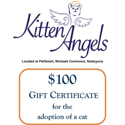 #24 - Kitten Angels at PetSmart Gift Certificate - Waiver of the $100 adoption fee to an approved NRC applicant.  Selected cat to have age-appropriate shots, been spayed or neutered, and have tested negative for Feline immune-deficiency virus and Feline leukemia virus.  
-------
Value:  $100.00
Starting Bid:  $50.00
Bid Increments:  $5.00
Current Bid:  $ 